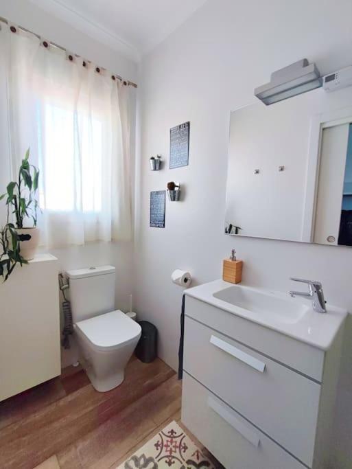 Bright And Quiet Studio In مالقة المظهر الخارجي الصورة
